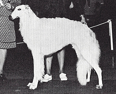 Top Obedience Borzoi 1974